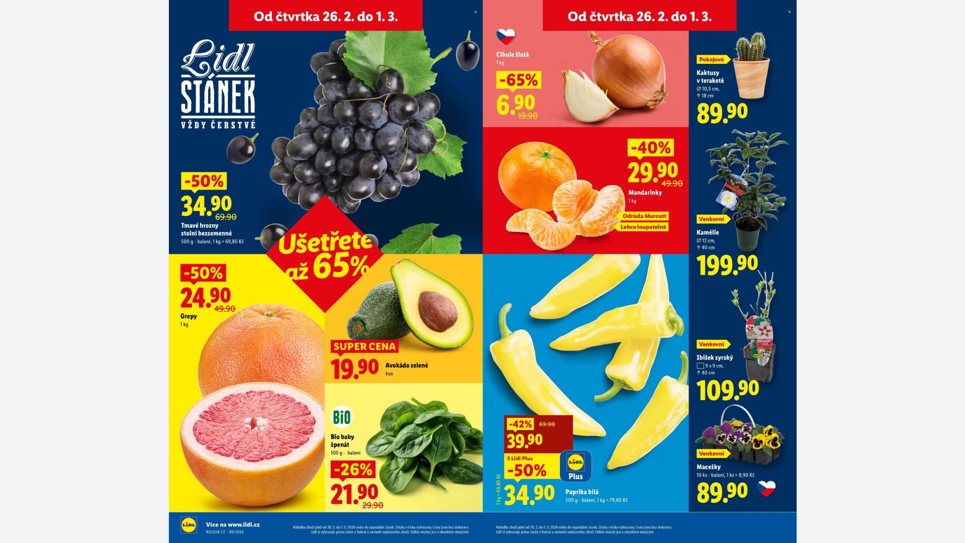 Stránka letáku 1 / 41